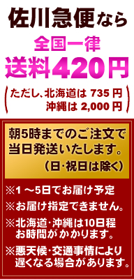��13���Τ���ʸ������ȯ��